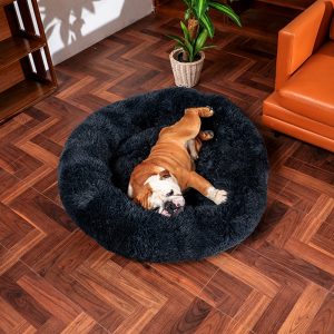 english bulldog shop the best beds for english bulldogs