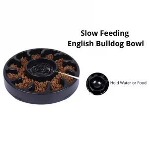 english bulldog bowl