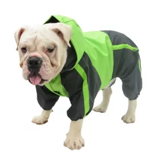 raincoat for bulldogs