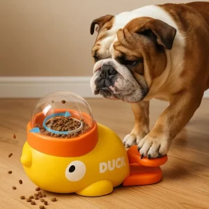 accessories for bulldogs